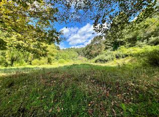 1564 Dry Fork Rd, Salem, WV 26426