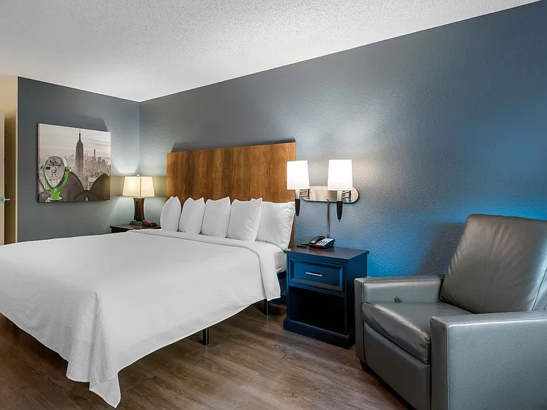 1 Bedroom Suite - 1 King Bed