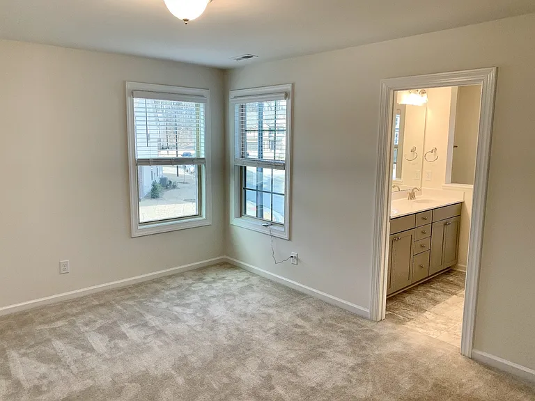 1541 Catch Fly Ln — Photo 14