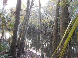 386 S Tuck Pt, INVERNESS, FL 34450