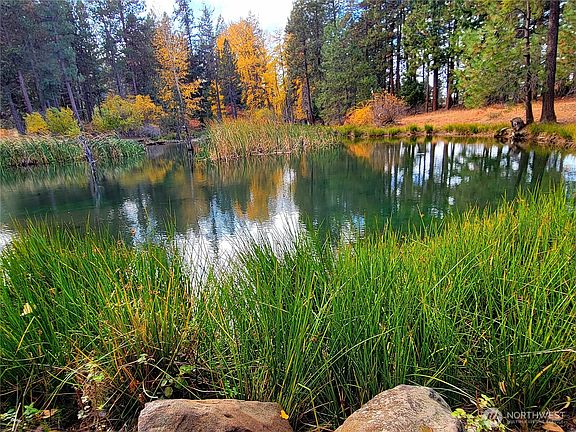5th image of 9 Summit View at Wallace Ranch
