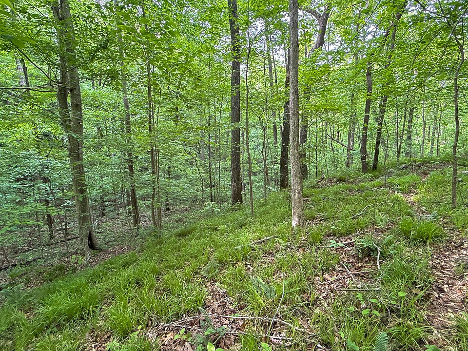 1st image of 0 Murphy Hollow Rd