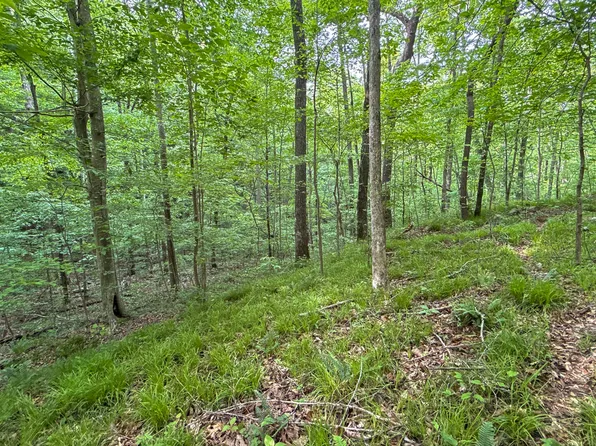 0 Murphy Hollow Rd, Trenton, GA 30752