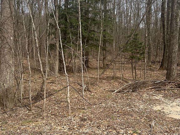 3rd image of Lost Lake Rd