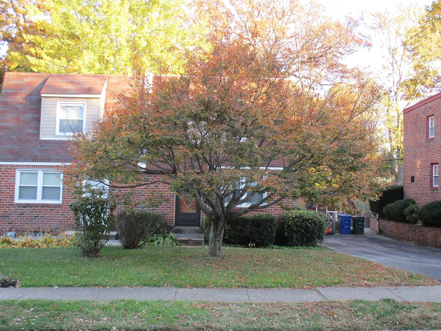 527 Vernon St photo 1