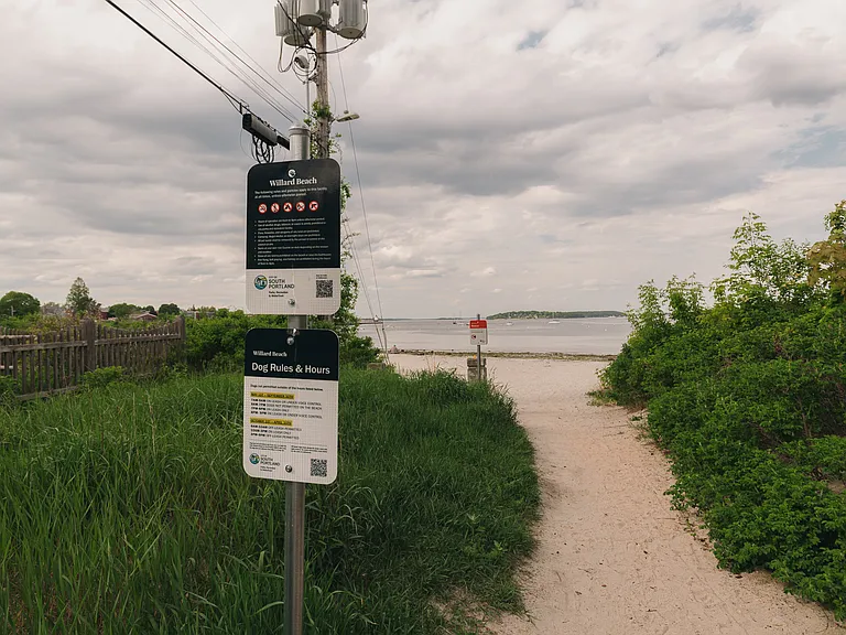 Path to Willard Beach