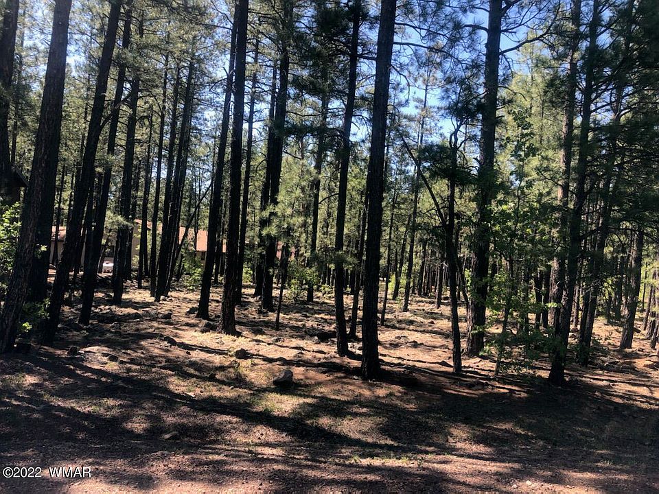 1st image of 7348 Tall Pine Dr