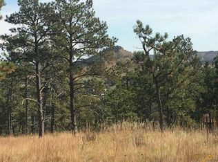 11229 Big Horn Loop, Piedmont, SD 57769