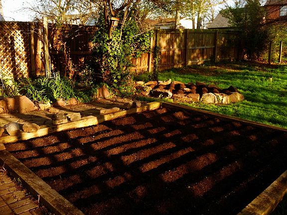 Garden - Newly Planted