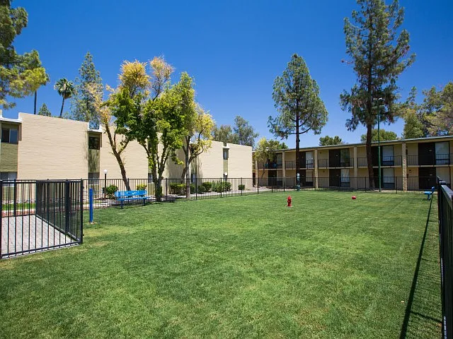 Scottsdale 59 — Photo 14