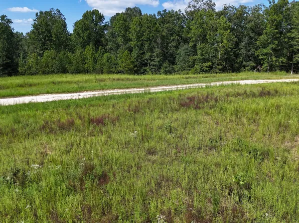 0 Freedom Rdg Lot 9, Indian Mound, TN 37079