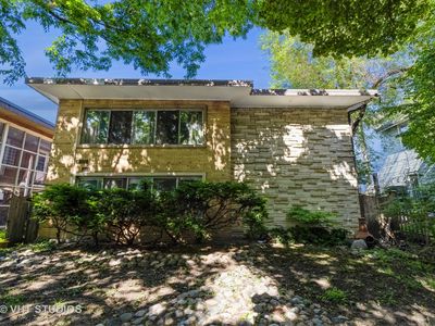 405 S Maple Ave APT 5, Oak Park, IL, 60302