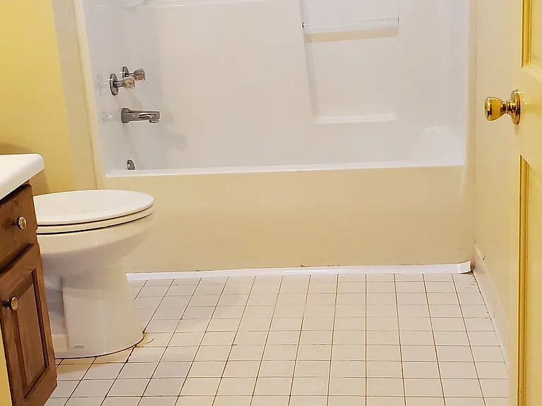Hall bath (full)