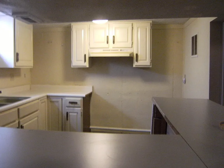 down stair kitchen or bar in basement