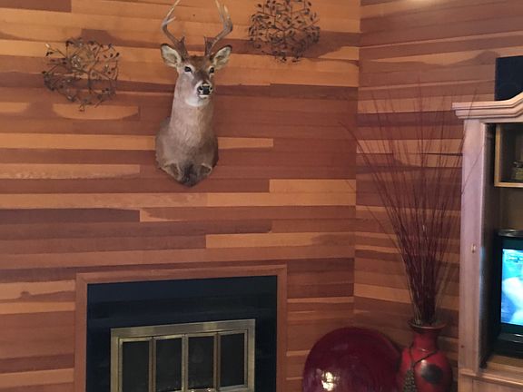 4th image of 1579 Lakeside Cir
