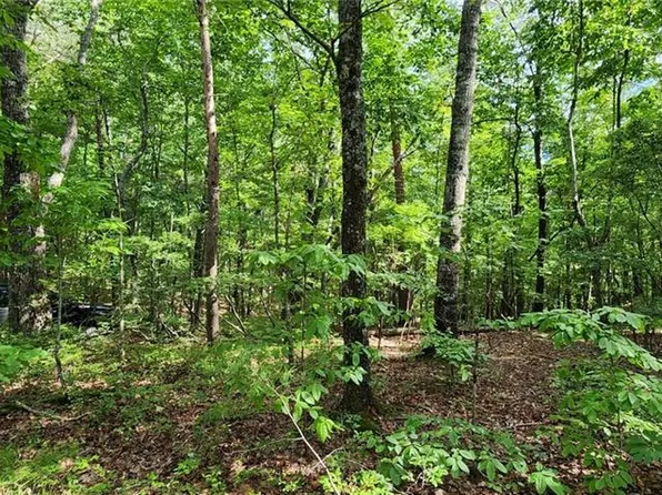 0 High Country Rd, Talking Rock, GA 30175