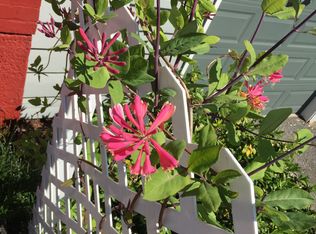 10262 32nd Ave SW, Seattle, WA 98146