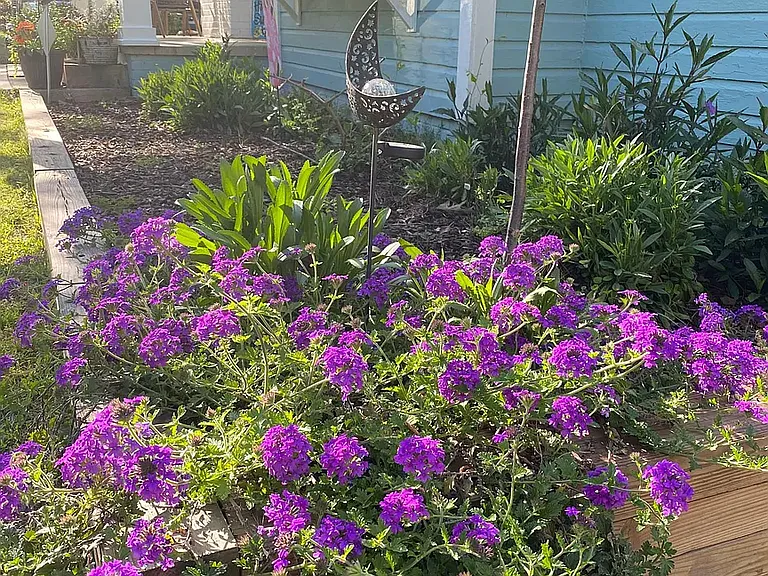 814 Carolina Ave — Photo 20