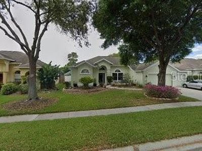 4316 Swift Cir, Valrico, FL, 33596