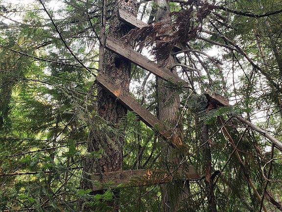 2nd image of 80 E Ridge Dr Tract 8
