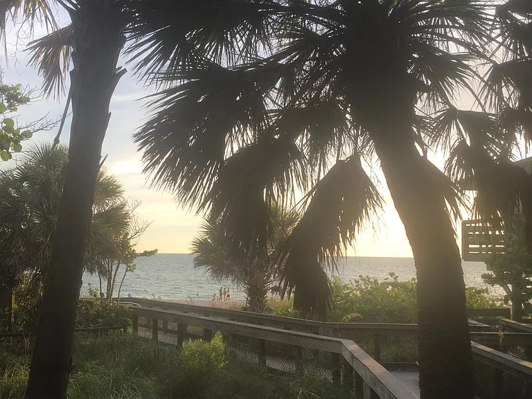 Free county Manasota beach park.