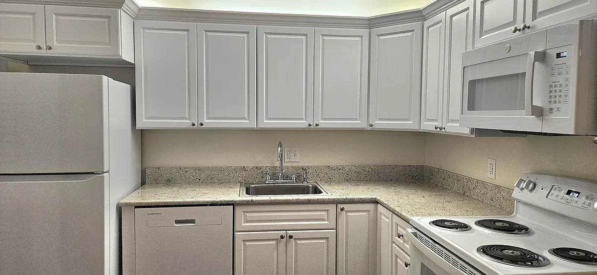 Fully Renovated Kitchen - 1108 Green Pine Blvd #E3