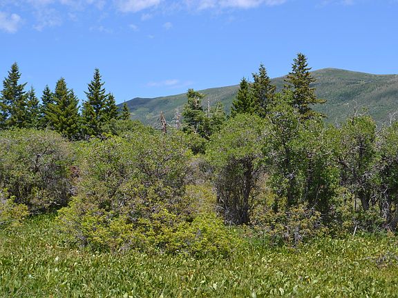3rd image of 319 Porcupine Loop