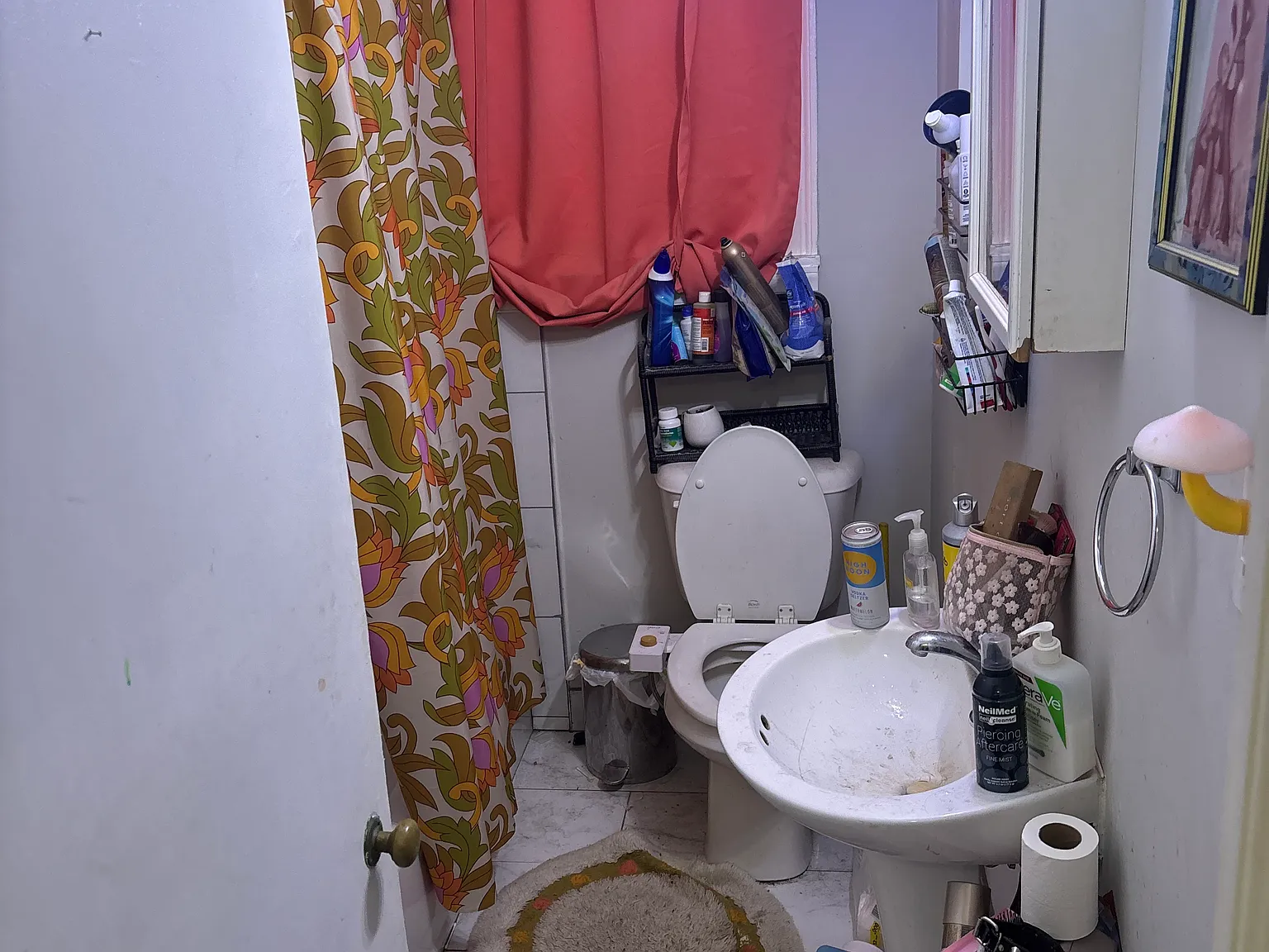 2 bed, $1,250 — Photo 4