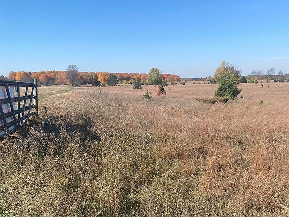 4th image of 17.5 Creighton Rd SW #A