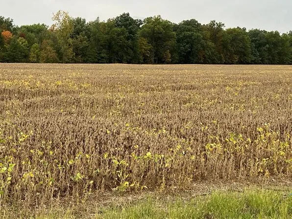 0 Road 424, Cecil, OH 45821