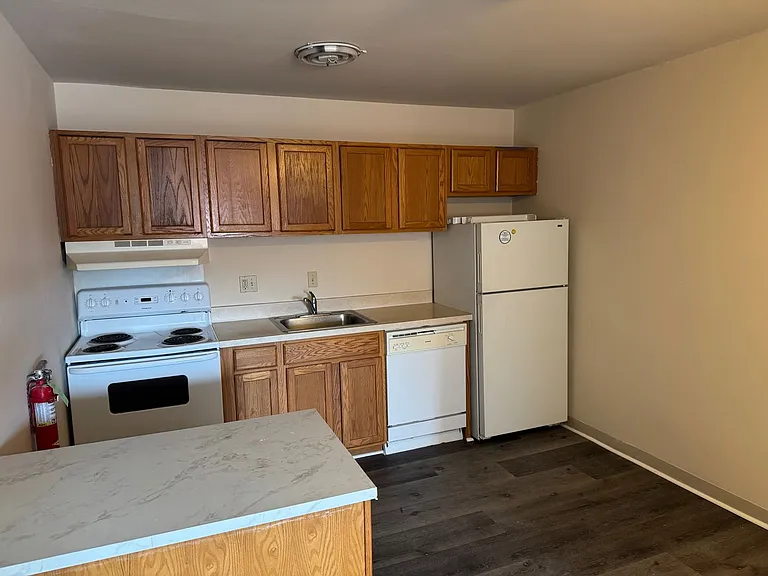 203 E Chestnut Street — Photo 13