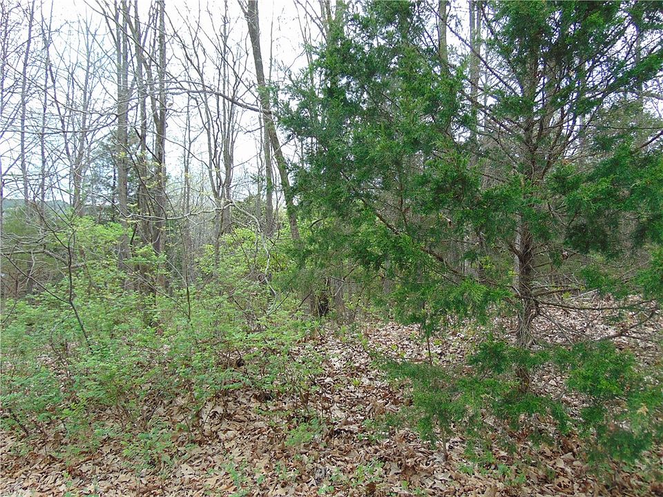1st image of Oniell Dr
