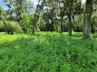 087148-0000 Little Rd, Valrico, FL 33596