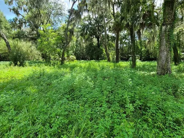 087148-0000 Little Rd, Valrico, FL 33596