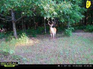 0 Squaw Creek Rd, Fostoria, MI 48435