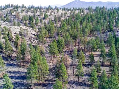 0 Beatty Dr #3512-035D0-04300, Beatty, OR, 97621