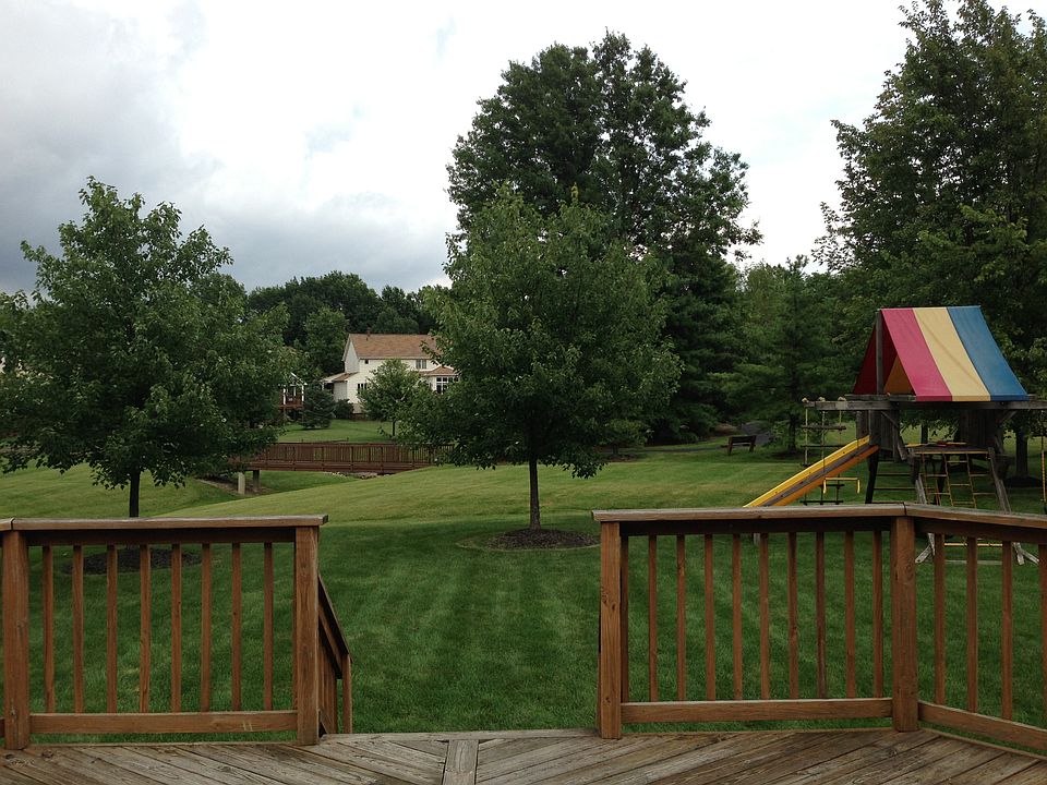 Park-Like Back Yard