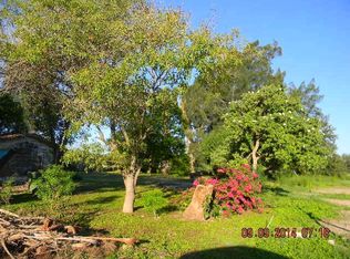 803 Arroyo Park, Alamo, TX 78516