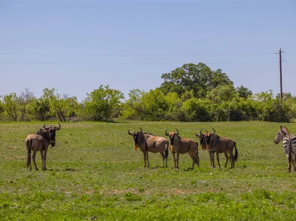 569 County Road 177 #177, Sidney, TX 76474