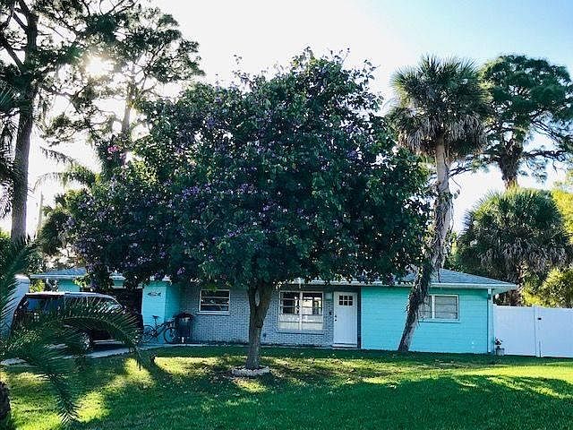 Our "Fainting Tree" is coming back after 4 hurricanes! It's a gorgeous Japanese orchid tree.