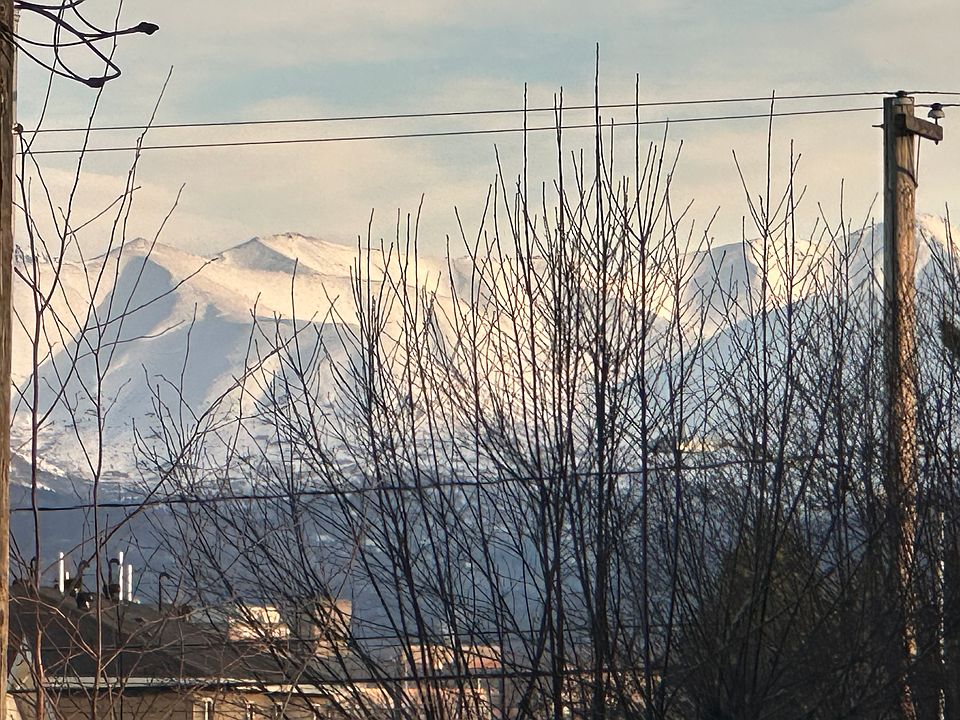 View from the living room window