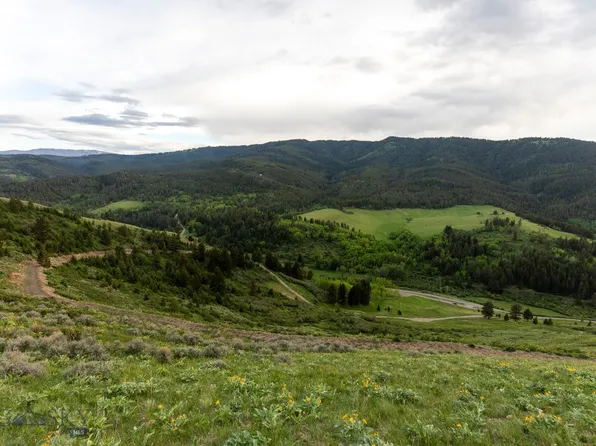 Trail Creek Rd Lot 2, Bozeman, MT 59715