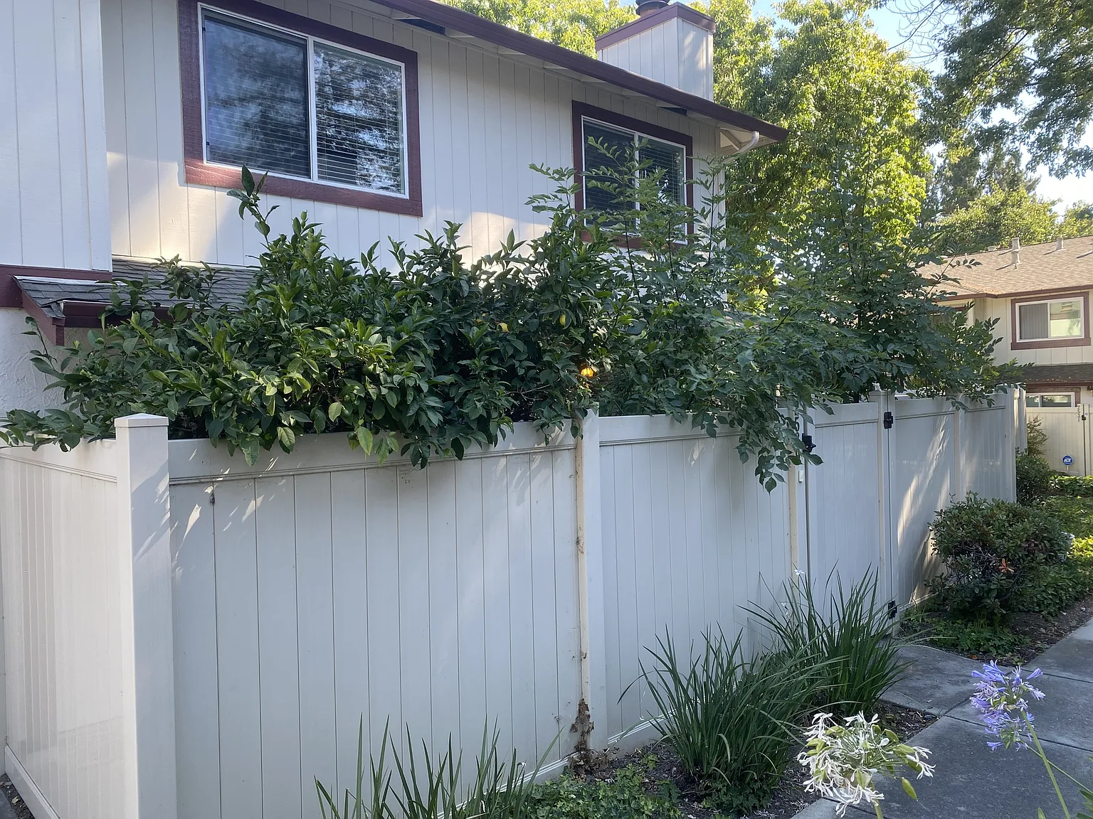 2539 Blue Rock Court - 1 — Photo 1