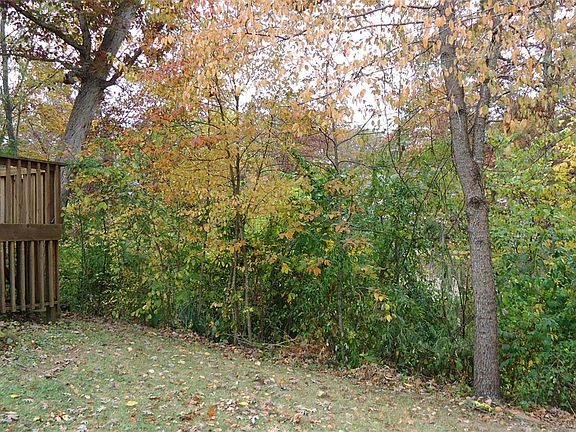 4th image of 1774 Lakeshore Dr