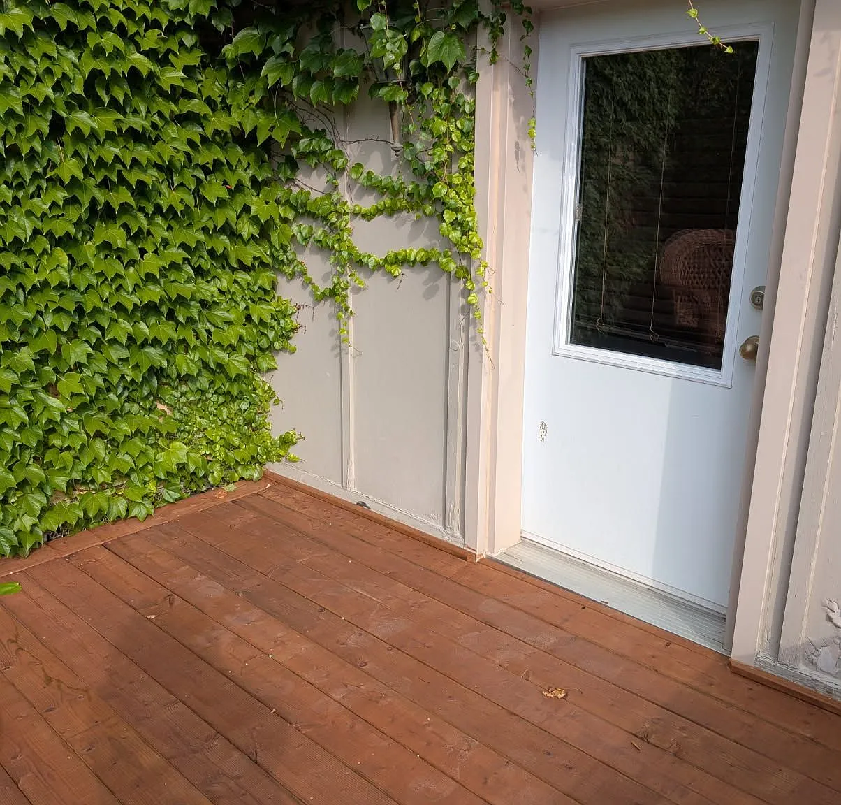 2 bed, $1,750 — Photo 2