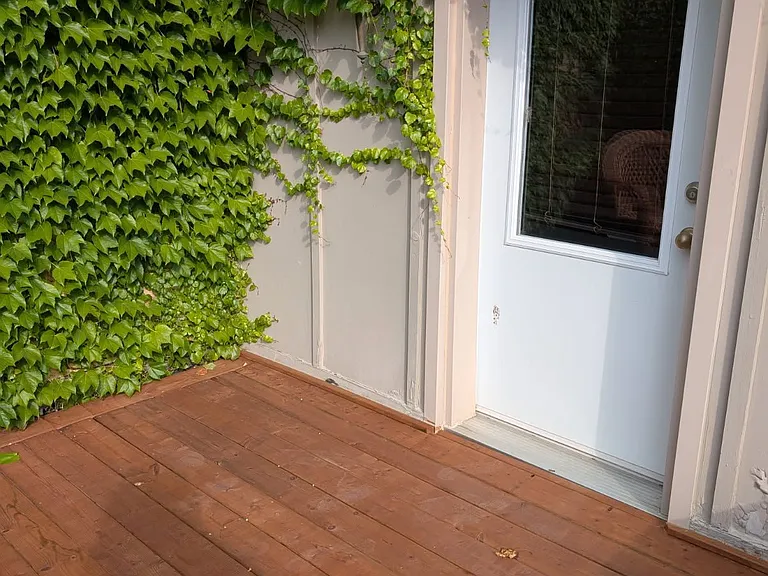 526 Waterloo St #A — Photo 2