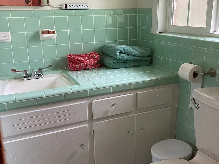 Master bath
