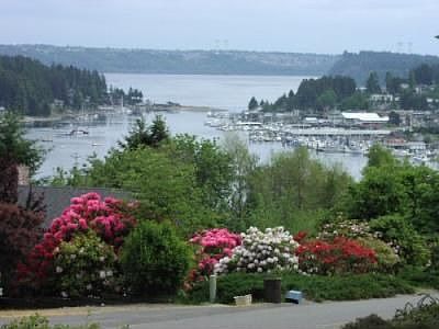 View from the deck