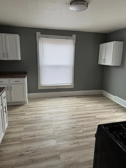 1 bed, 600 sqft, $950 — Photo 3