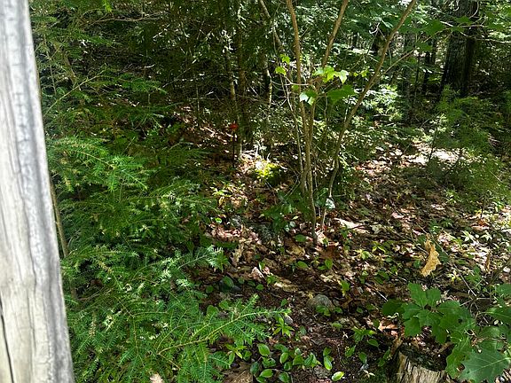5th image of 25 Cottage Lane